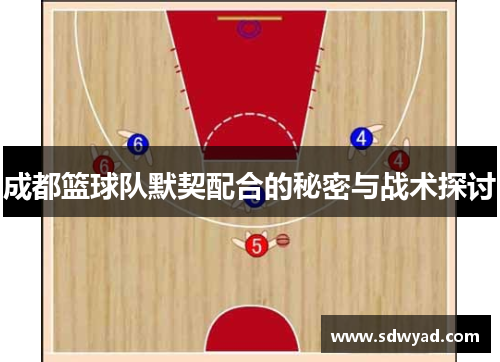 成都篮球队默契配合的秘密与战术探讨