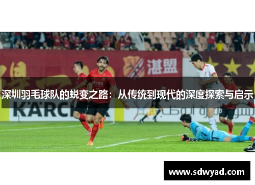 深圳羽毛球队的蜕变之路：从传统到现代的深度探索与启示