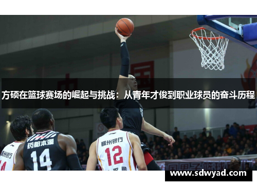 方硕在篮球赛场的崛起与挑战：从青年才俊到职业球员的奋斗历程